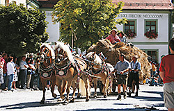  Rosstag am letzten Augustwochenende